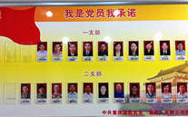利来老牌国际官网app集团党委开展党员承诺活动